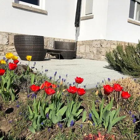 Altstadt Naehe 7 Min Fussweg Ueber Alte Mainbruecke Zu Mit Balkon & Garten, Ideal For Long Stay, Relocation Affittacamere Ochsenfurt